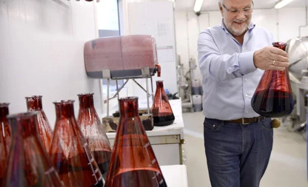 Berry antioxidant Medox® - Image 4